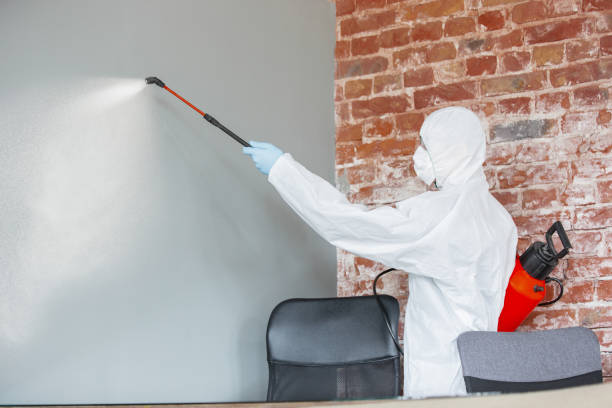 Best Mold Removal for HVAC Installations  in Las Lomas, CA