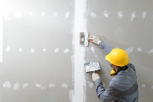 Las Lomas, CA Mold Removal Company