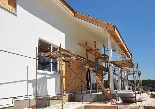 Best Basement Mold Removal  in Las Lomas, CA