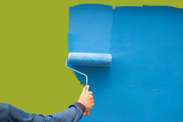 Mold Remediation for Vacation Homes in Las Lomas, CA