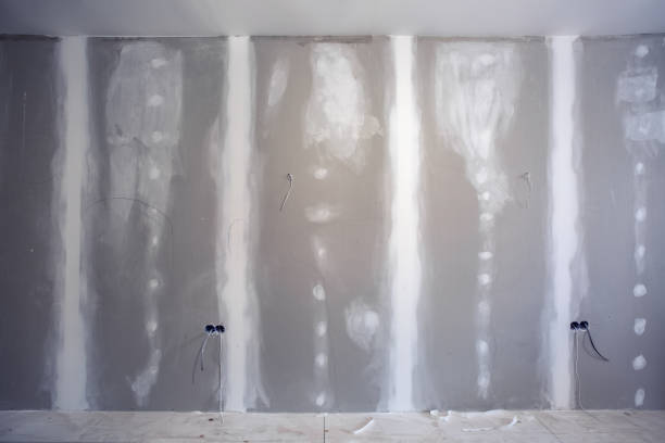 Best Mold Prevention Services  in Las Lomas, CA